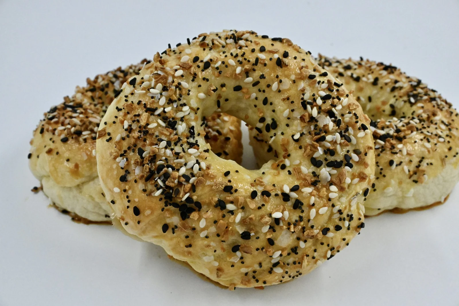 bagel-solo
